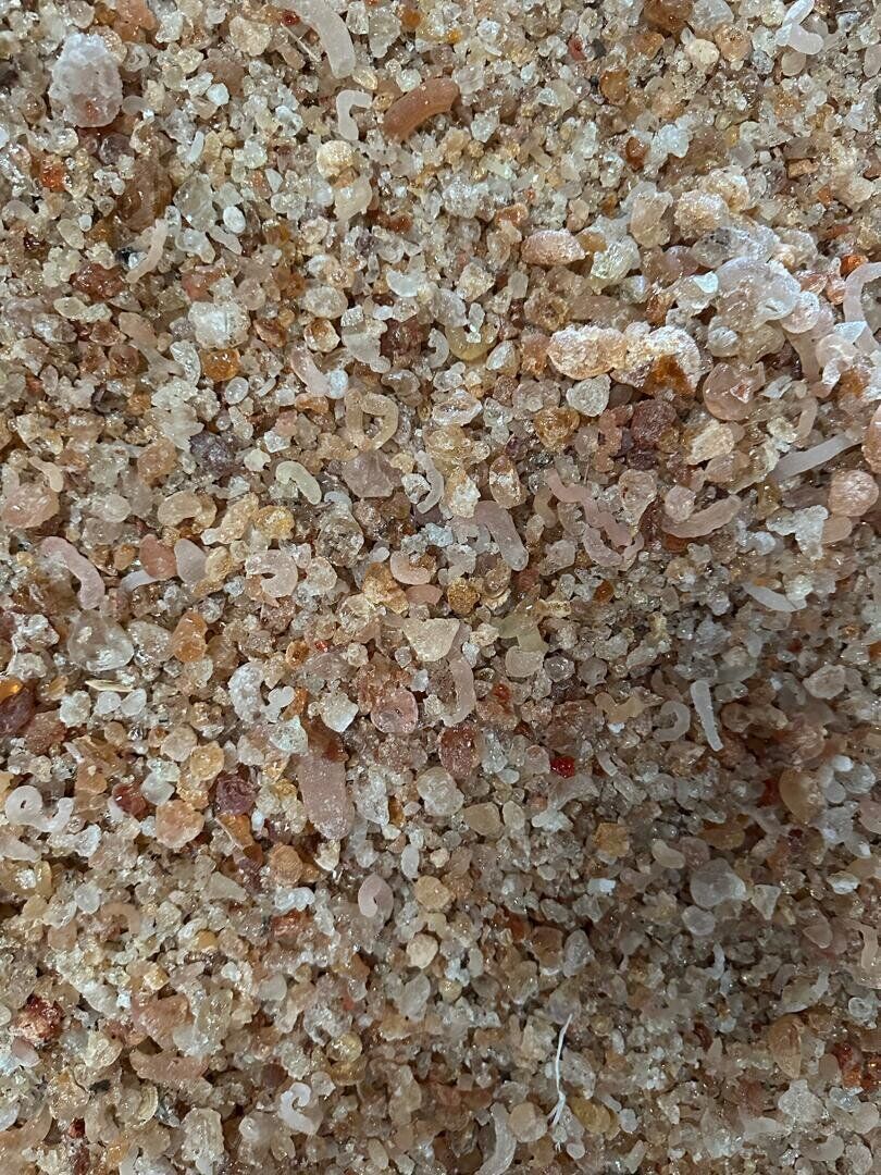 Gomme arabique Talha — Tchad — Talha Tchad — granules et larmes naturelles, coloration ambrée caractéristique de l'acacia senegal var. senegal.