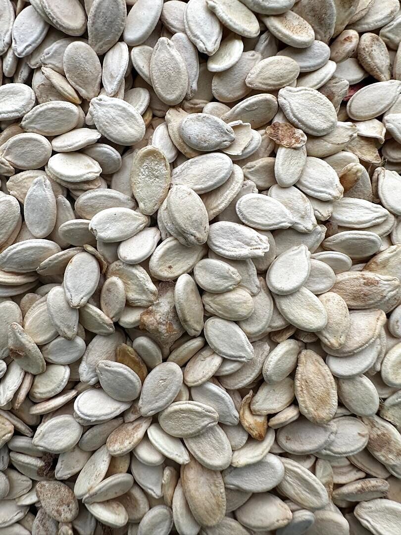 Graines de pastèque — Graines de pastèque — grains sombres calibrés, origine Tchad, conditionnement export.